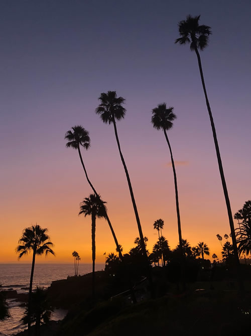 california-disablity california-disablity